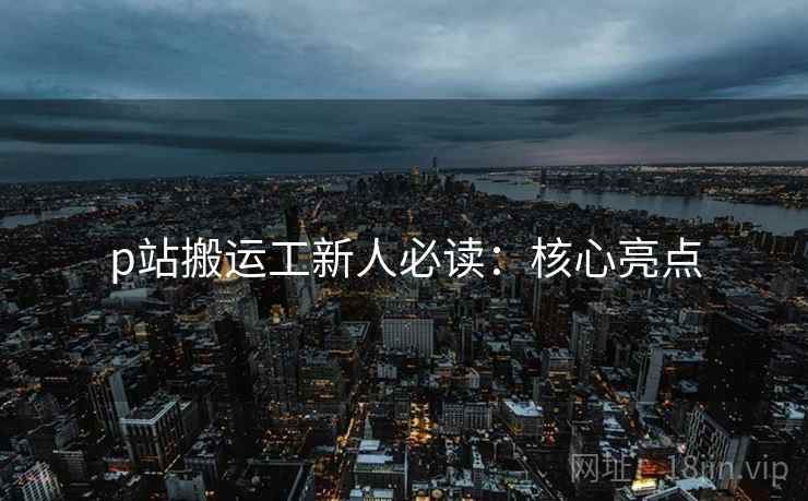 p站搬运工新人必读：核心亮点  第2张