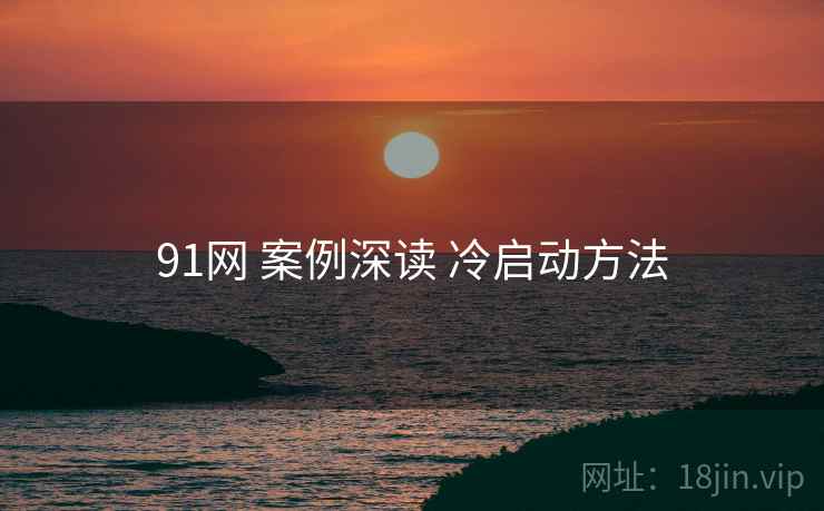 91网 案例深读 冷启动方法  第2张