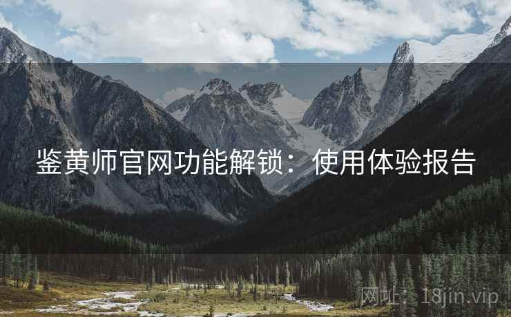 鉴黄师官网功能解锁：使用体验报告  第2张