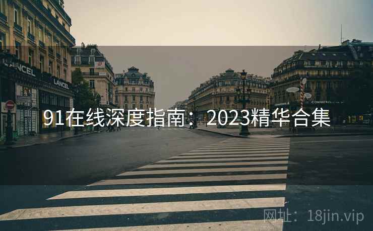 91在线深度指南：2023精华合集  第1张