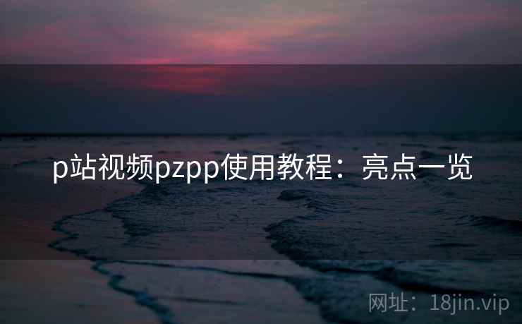 p站视频pzpp使用教程：亮点一览  第1张