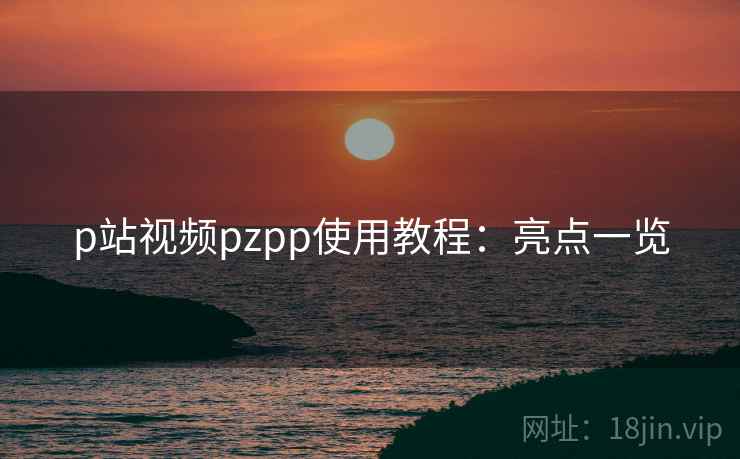 p站视频pzpp使用教程：亮点一览  第2张