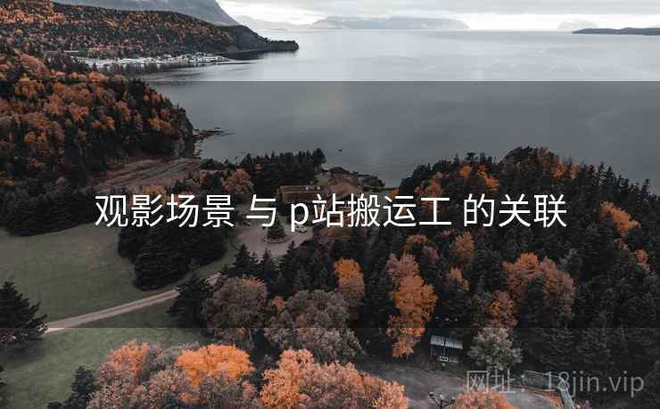 观影场景 与 p站搬运工 的关联  第2张