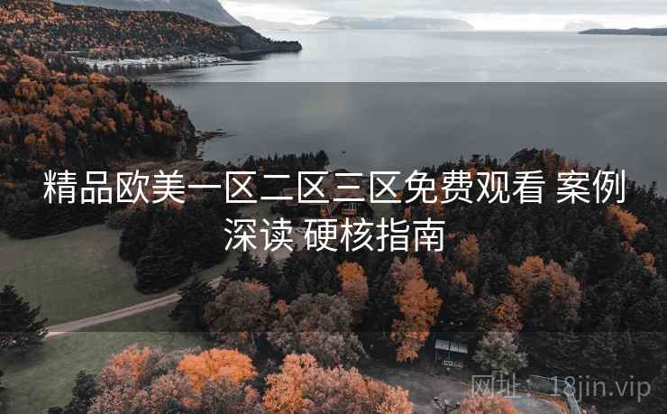 精品欧美一区二区三区免费观看 案例深读 硬核指南  第1张