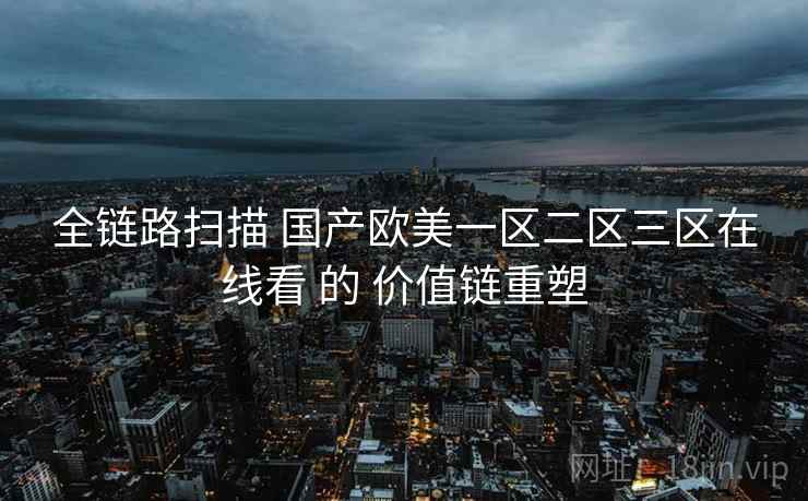 全链路扫描 国产欧美一区二区三区在线看 的 价值链重塑  第2张