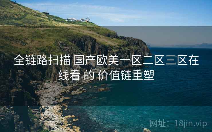 全链路扫描 国产欧美一区二区三区在线看 的 价值链重塑  第1张