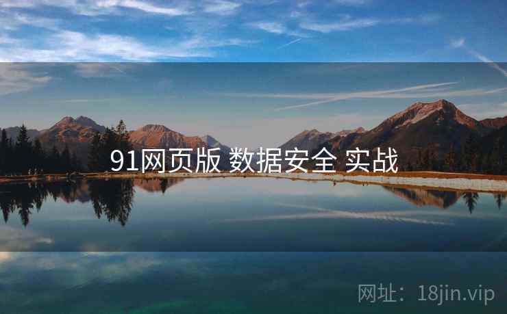 91网页版 数据安全 实战  第2张