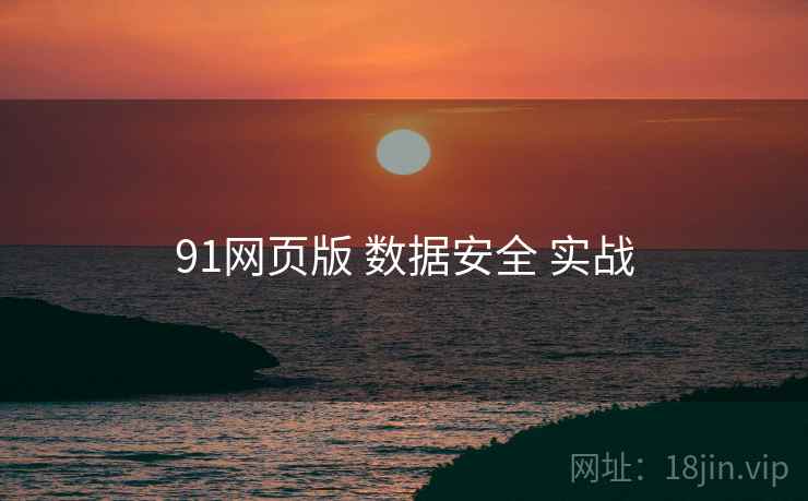 91网页版 数据安全 实战  第1张