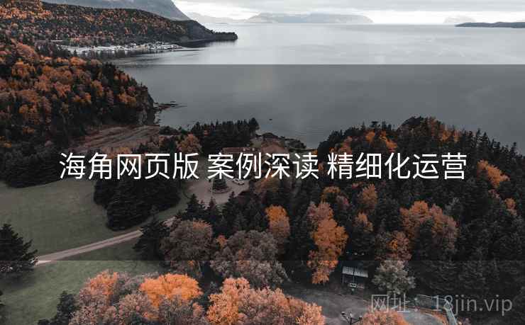 海角网页版 案例深读 精细化运营  第1张