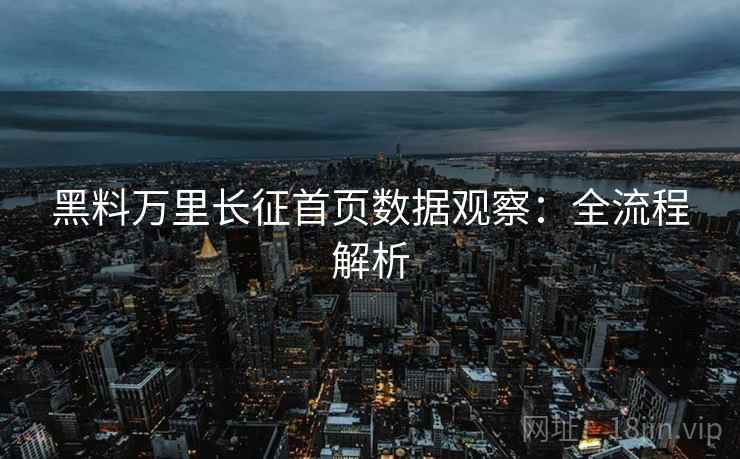 黑料万里长征首页数据观察：全流程解析  第2张