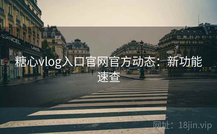 糖心vlog入口官网官方动态：新功能速查  第1张