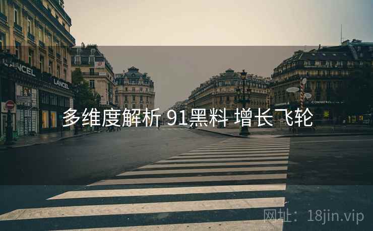 多维度解析 91黑料 增长飞轮  第1张