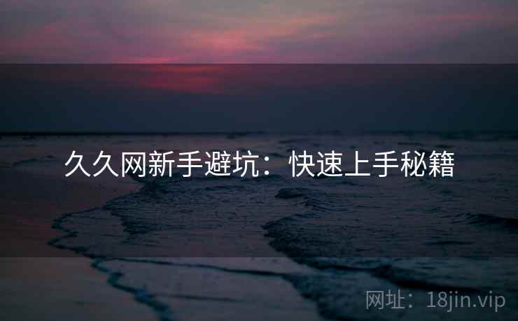 久久网新手避坑：快速上手秘籍  第2张