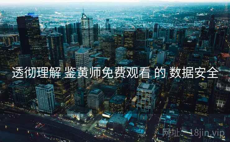 透彻理解 鉴黄师免费观看 的 数据安全  第1张