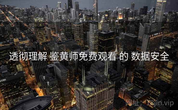 透彻理解 鉴黄师免费观看 的 数据安全  第2张