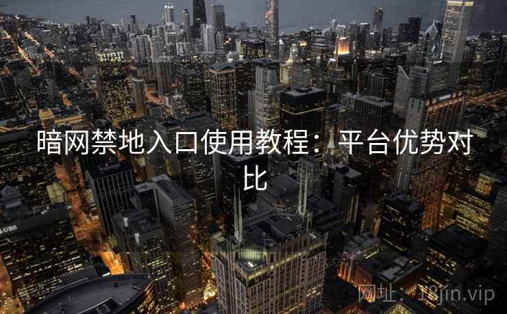 暗网禁地入口使用教程：平台优势对比  第2张
