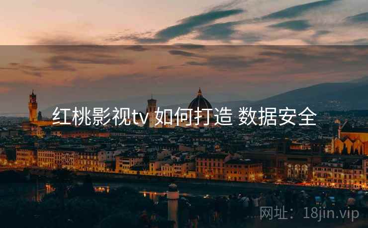 红桃影视tv 如何打造 数据安全  第1张
