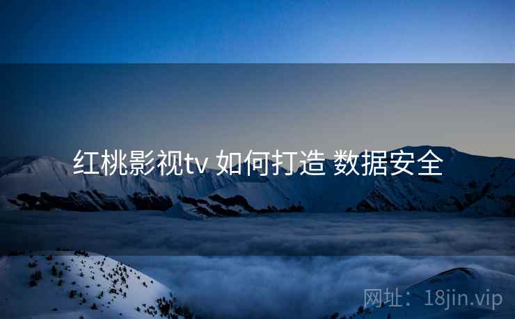 红桃影视tv 如何打造 数据安全  第2张
