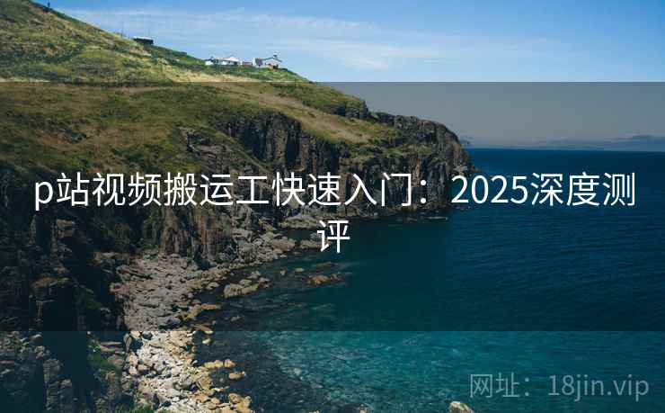 p站视频搬运工快速入门：2025深度测评  第2张