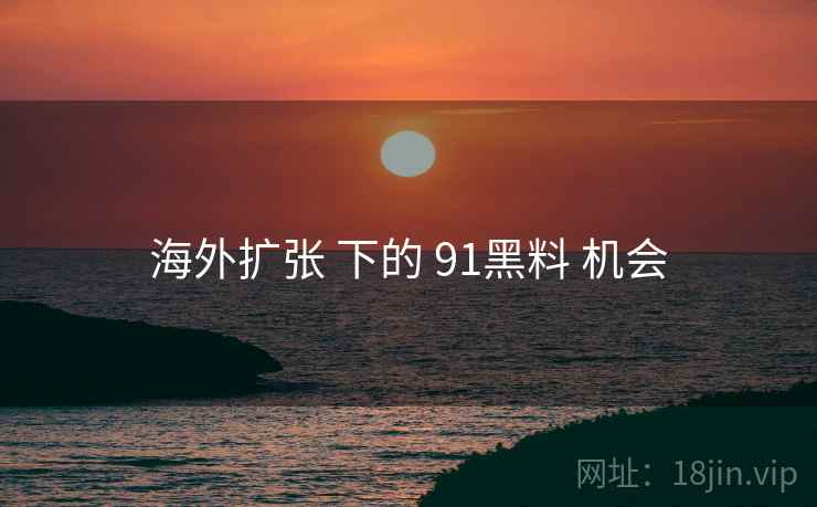 海外扩张 下的 91黑料 机会  第2张