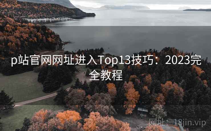 p站官网网址进入Top13技巧：2023完全教程  第1张