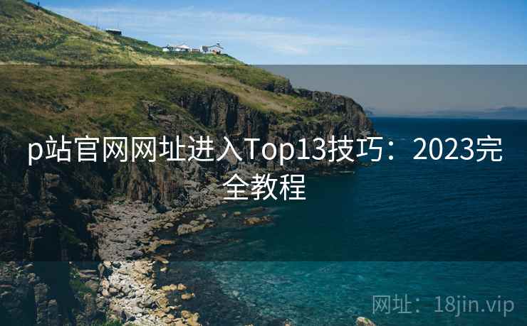 p站官网网址进入Top13技巧：2023完全教程  第2张
