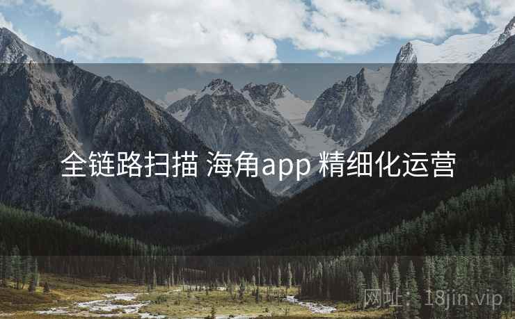 全链路扫描 海角app 精细化运营  第1张