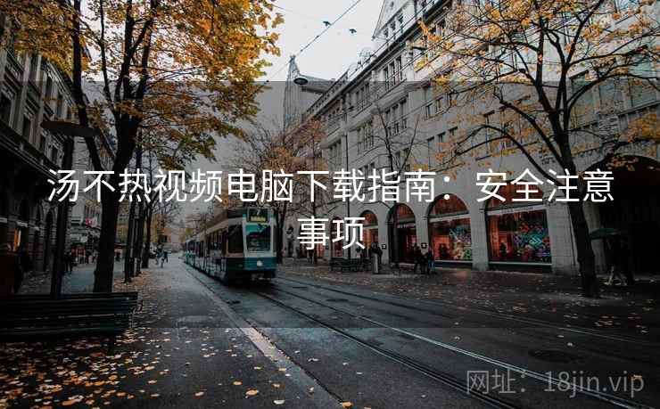 汤不热视频电脑下载指南：安全注意事项  第1张