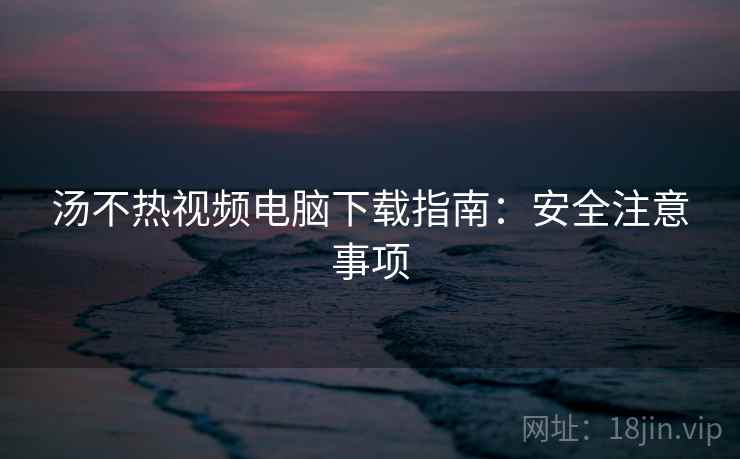 汤不热视频电脑下载指南：安全注意事项  第2张