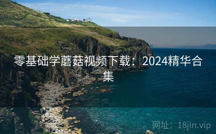 零基础学蘑菇视频下载：2024精华合集  第1张