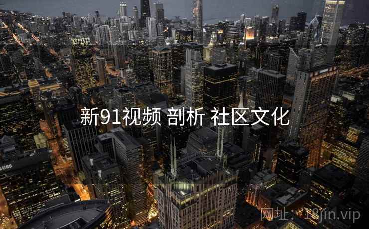 新91视频 剖析 社区文化  第2张
