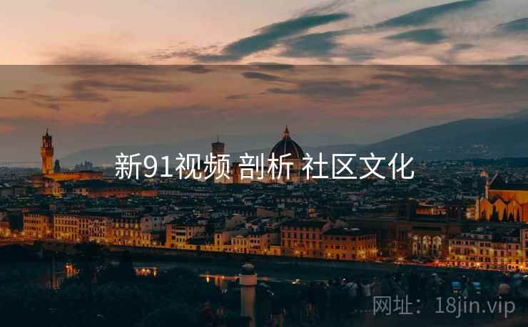 新91视频 剖析 社区文化  第1张