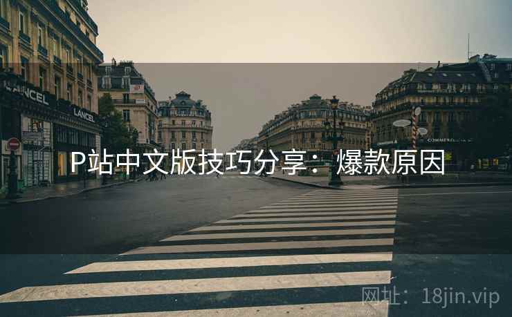 P站中文版技巧分享：爆款原因  第2张