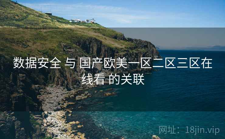 数据安全 与 国产欧美一区二区三区在线看 的关联  第2张