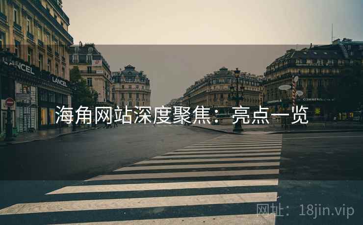 海角网站深度聚焦：亮点一览  第2张