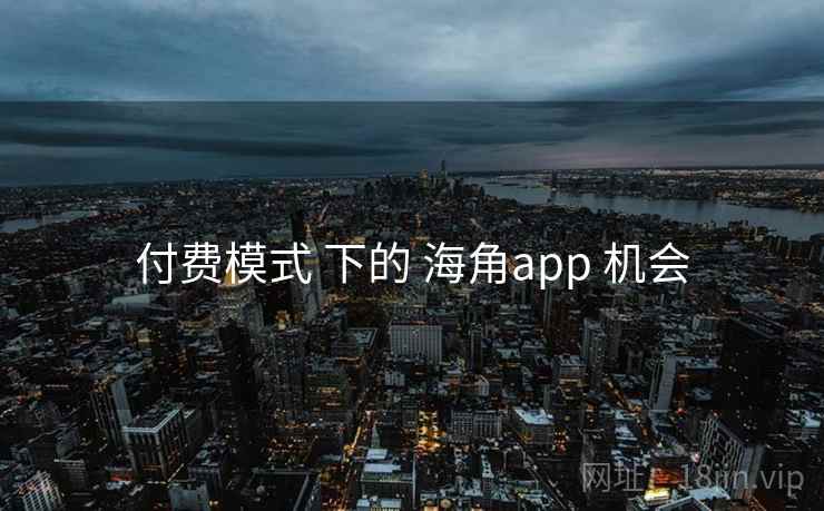 付费模式 下的 海角app 机会  第2张