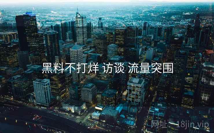 黑料不打烊 访谈 流量突围  第2张