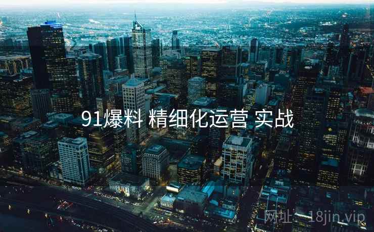 91爆料 精细化运营 实战  第2张