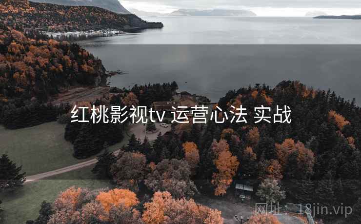 红桃影视tv 运营心法 实战  第2张