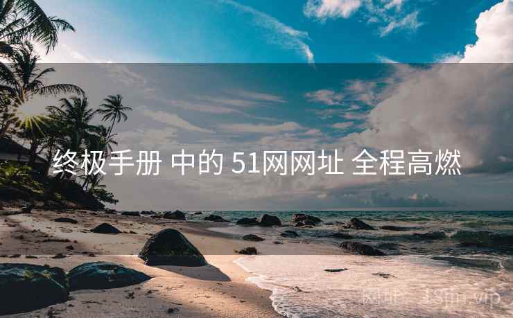 终极手册 中的 51网网址 全程高燃  第1张